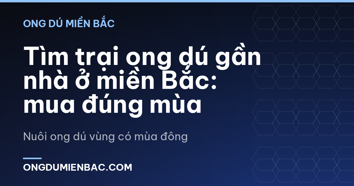 Tìm trại ong dú gần nhà ở miền Bắc: mua đúng mùa