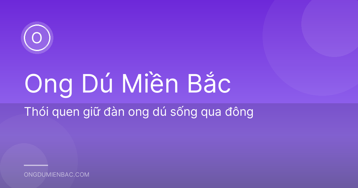 Thói quen giữ đàn ong dú sống qua đông