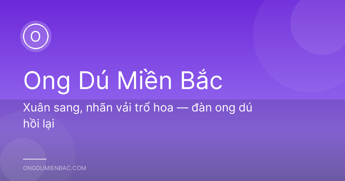 Xuân sang, nhãn vải trổ hoa — đàn ong dú hồi lại